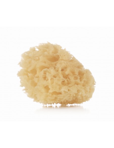 Esponja Natural 2 Uds. 