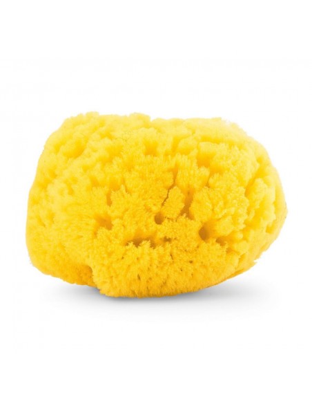 Chicco Esponja marina de baño