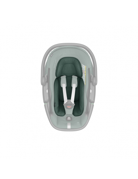 MAXI COSI Coral 360º Essential green