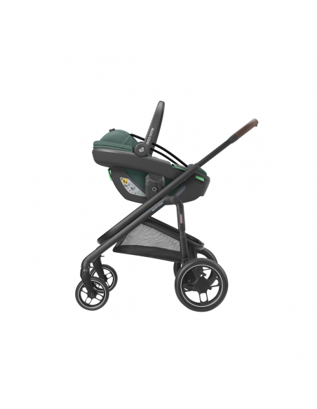 MAXI COSI Coral 360º Essential green