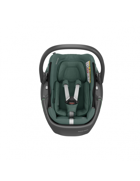MAXI COSI Coral 360º Essential green