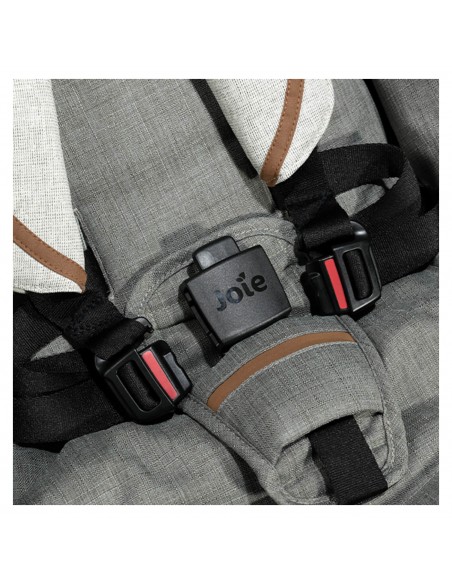 Silla Joie signature Parcel Carbon.