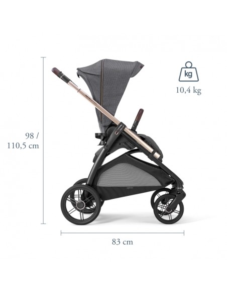Inglesina Aptica Duo Pashmina Beige.
