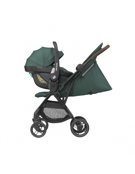 SILLAS LIGERAS PARA BEBE - MAXI COSI Silla Soho Essential Green